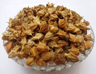 Elysian Enterprises Gokhru Big- Gokharu Bada - Pedalium Murex – Caltrops Seed