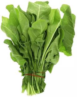 MYLAWN Palak Spinach Vegetables Seed