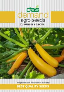 KRASHAK Zucchini, Zukini Seed