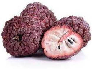 SM Exports Red Custard Apple Seed