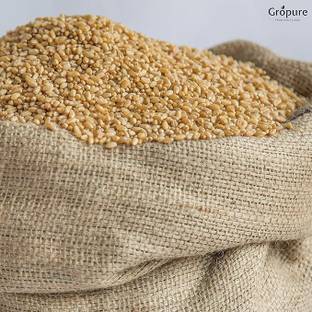 THAMMAR Wheat Seeds, DBW 187, & Agriculture (Kheti ), Gehu Ka Bheej (5 KG ) Seed