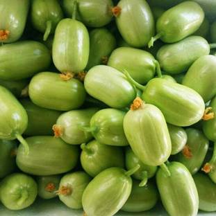 CYBEXIS High-Quality Vegetables Easy Cultivate High-Yield Cucumber Seeds2000 Seeds Seed