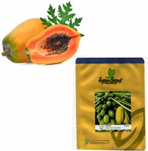 JD AGRO Premium Papaya (Hybrid) Seeds (High Yielding Variety) with Free bone meal (1kg ) Seed