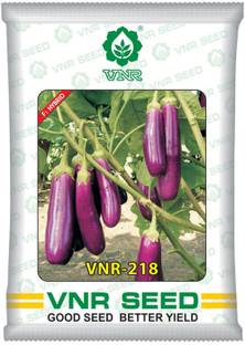 VNR vnr 218 F1 Hybrid Brinjal Seed