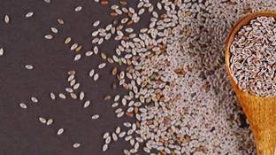 Sashtang enterprises Isabgol seeds, Ispaghula, Psyllium Seed