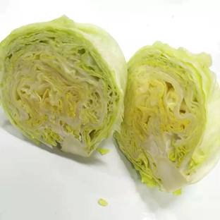 Avysa High-quality organic lettuce Seed