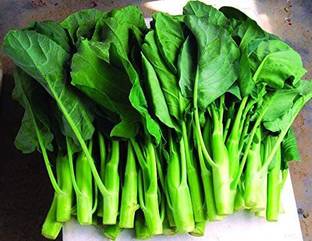 VibeX ® LXI-358 KAILAAN Chinese Broccoli Kale Kai LAN Seed