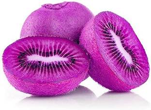 ActrovaX Kiwi Actinidia (Kiwifruit/Hardy Kiwi/Purple Heart Kiwis) [100 Seeds] Seed