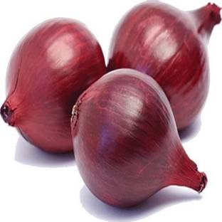 CYBEXIS Good Germination Red Onion Seeds-500 Seeds Seed