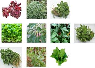 CHILLATAI 10 Variety Leaf Vegetable Seeds / Combo Spinach Seeds For Home Gardening Seed