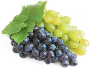 PASCLE अंगूर के बीज Black-Green Grapes Fruit Seed
