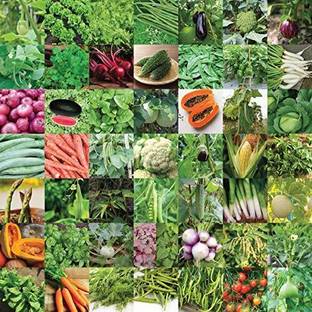 UGAOO Indian Vegetable Seeds Bank For Home Garden 50 Varieties - 2255 Seeds Seed