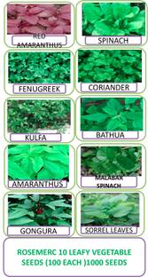 ROSEMERC 10 variety leafy vegetable ( each 100 ) Seed