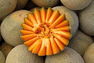 VibeX VXI-87 - F1 HYBRID MUSK MELON - (150 Seeds) Seed