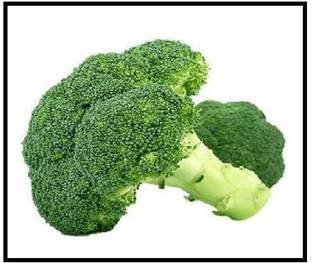 CYBEXIS NDIR-51 - Belstar Broccoli - (150 Seeds) Seed