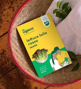UGAOO Lettuce Seeds - Lollo Rosso Vegetable Seeds (Green, Pack of 1g) Seed