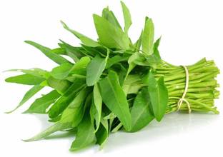 VibeX ® XLR-657 Water Spinach Thai Kangkong Spinach Nari Seed