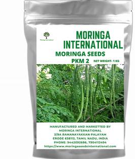 MORINGA INTERNATIONAL MORINGA SEEDS PKM 2 Seed