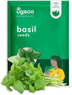 UGAOO Italian Basil Seed