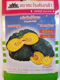 VibeX ® XXL-477 Thai Pumpkin Thong Phun Seeds Seed