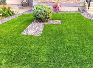 BDSresolve Home Garden Grass Seeds for a Lush Lawn Pack of 8781 Seed