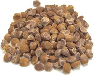 Plantzoin Elephant creeper Seed