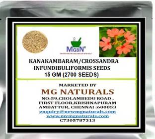 MGBN KANAKAMBARAM/CROSSANDRA INFUNDIBULIFORMIS SEEDS - 15 GM (12700 SEEDS) Seed