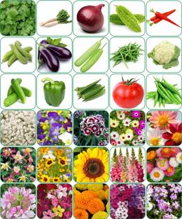 Aero Seeds 30 variety(15 flower and 15 vegetable) seeds combo pack with instruction manual. Seed