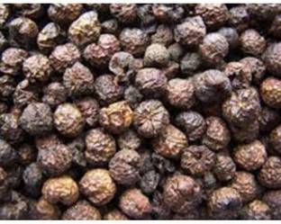 ANDARISTORE Sun Dried Turkey Berry / Sun Dried Sundakka Vathal / Sundaka vathal 100g Seed