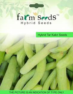 CRGO ® PUSA-16-Hybrid Tar Kakri 1 Packet Seeds Seed