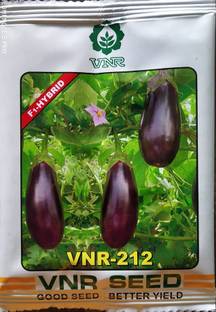 VNR Brinjal, VNR 212 10gm Seed