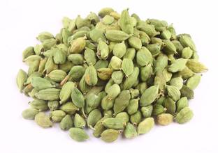 CYBEXIS XLL-1 - Chota Elach -Cardamom -Veldode -Yallaki -EalaChai - (540 Seeds) Seed