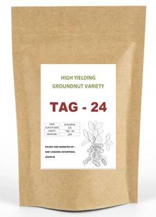 Green World TAG-24 Groundnut Seeds/Mungfali Beej Farming Researched Seeds 1 Kg Seed