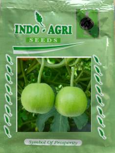 Tinda 250g, Best quality tinda vegetable seeds Seed