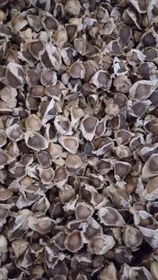 VibeX KGF -88 - Drumstick(Saijan ki Phalli) PKM1 - (150 Seeds) Seed