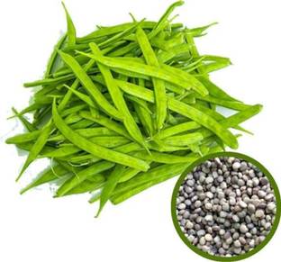 HYBRID 50g, beans seeds Rama's seeds highest yield vagitable seeds Seed