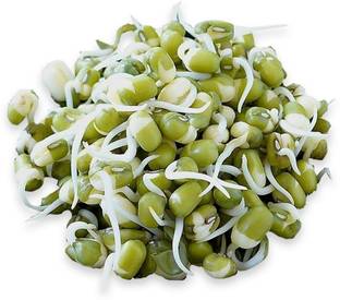 Shiv-Shakti Group Mung Bean, Green Gram, Golden Gram, Mongo, Green Soy, Celera Bean, Jerusalem Pea, Moong Dal Seed