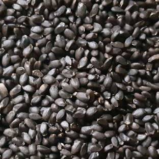 eKisanzone Basil Seeds, Sabja Seeds, Tukmaria Seeds, Sweet Basil Seeds, Herbal Plants Seeds Seed
