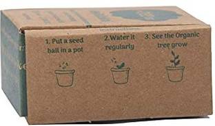 VibeX Mixed Herbs - Complete Beginner Gardening Set Seed