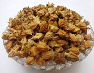 Kesariwala Gokhru (Big)- Gokharu (Bada) - Bhakra - Bindii - Pedalium Murex Seed