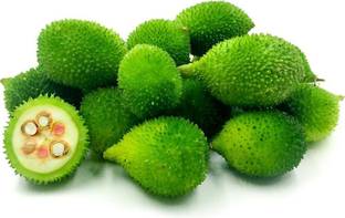 BDSresolve kakoda ka bij/kantola seeds 17 Seed