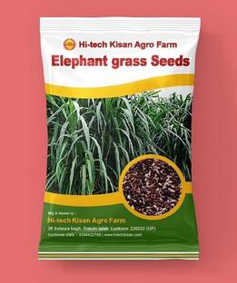 Hi tech Kisan Agro Farm Hi-tech Kisan Agro Farm Hathi ghas ( Elephant grass ) Grass Seed Seed