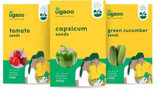 UGAOO Vegetable Seeds Combo Of Capsicum, Tomato, Green Cucumber (Long) Seed