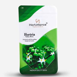 HORTIMANCE Turkey Berry seeds for grafting brinjal and tomato, contains 10000 Seed
