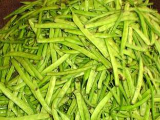 CHILLATAI Cluster Beans Seeds / Kothavarangai Seed