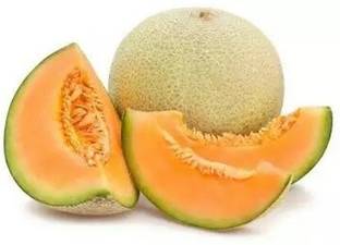 MRCY Cantaloupe/Muskmelon Tropical Fruit Seed
