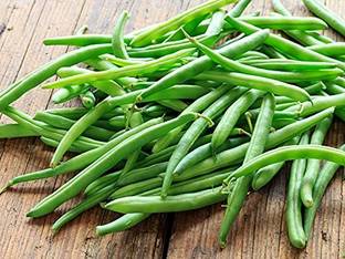 Aywal Hybrid French Beans Selection - High Yielding Seed