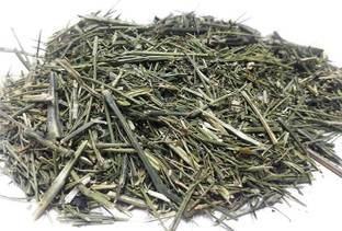 Aaradhyapriyal 100% Organic and Pure Hara Chirayata Kadwa Asli-Bittersick,Swertia chirata Seed