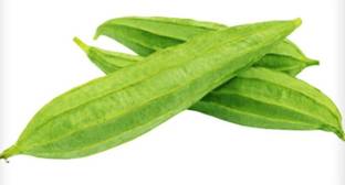 KNESSiN Hybrid Ridge Gourd Seeds Dodka Peerkangai -[10gm] Seed