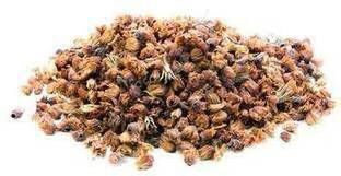 arasutraders MAGILAM POO / DRIED SPANISH CHERRY FLOWER / ?????? ?? Seed